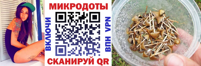 MEGA зеркало  Гусь-Хрустальный  Галлюциногенные грибы Cubensis  где купить наркоту 