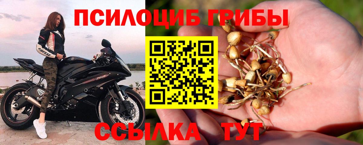 как найти   Гусь-Хрустальный  Галлюциногенные грибы Cubensis  Галлюциногенные грибы мухоморы 