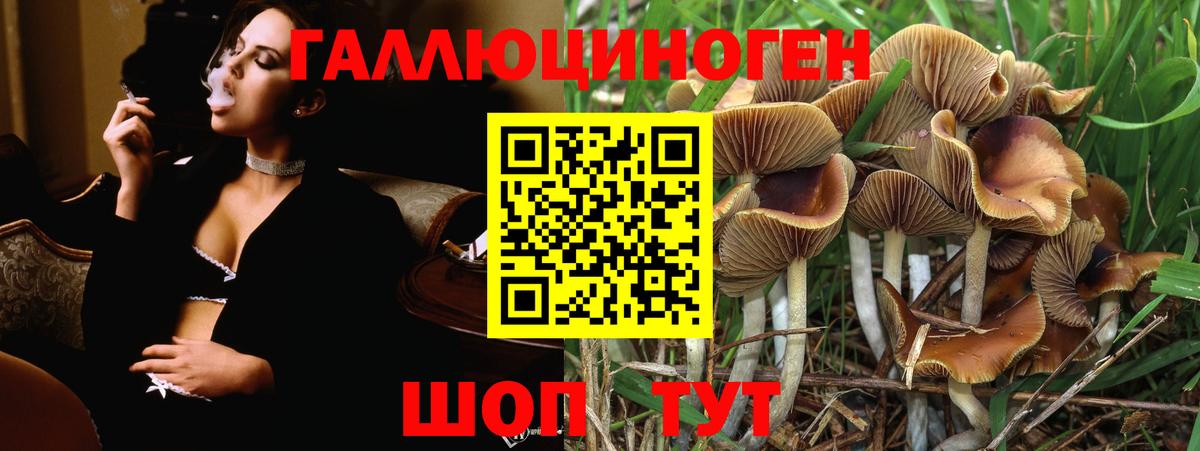 Псилоцибиновые грибы Psilocybe  где купить   Гусь-Хрустальный  Вход с VPN 