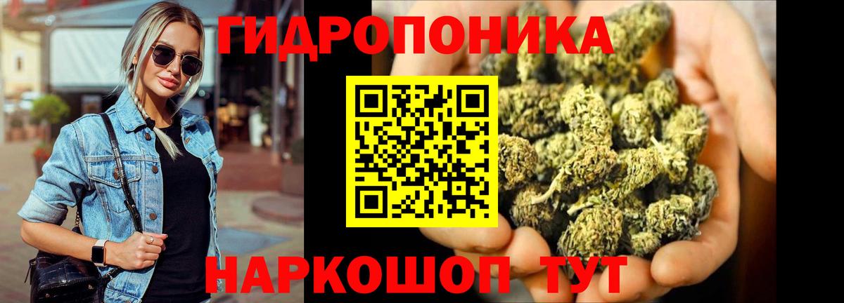 Конопля сатива  Вход с VPN  Гусь-Хрустальный  Конопля AK-47  Бошки Шишки Amnesia 